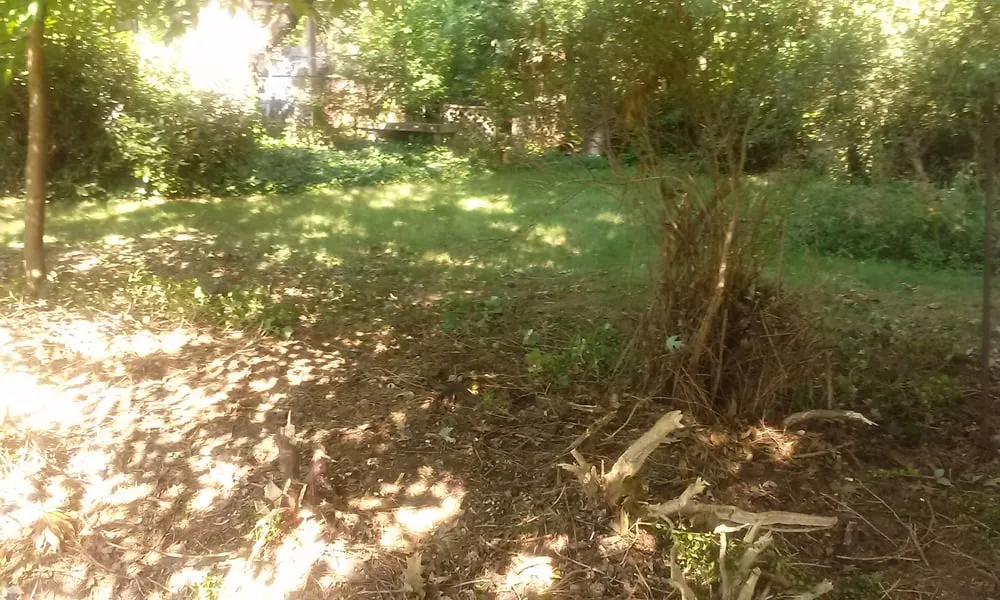 Reliable yard maintenance for year-round maintenance in Cleveland, OH by Earth Cycle Landscaping