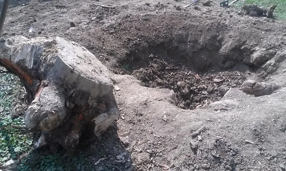 Professional yard maintenance in Cleveland, OH by Earth Cycle Landscaping