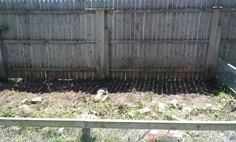 Top-rated yard maintenance in Cleveland, OH by Earth Cycle Landscaping