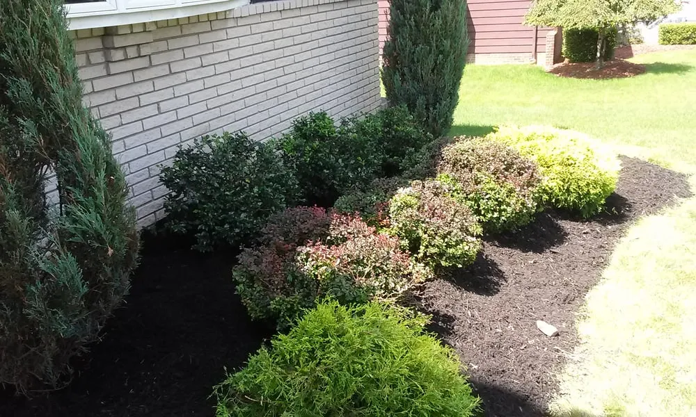 Custom yard cleanup service experts serving Cleveland, OH - Earth Cycle Landscaping