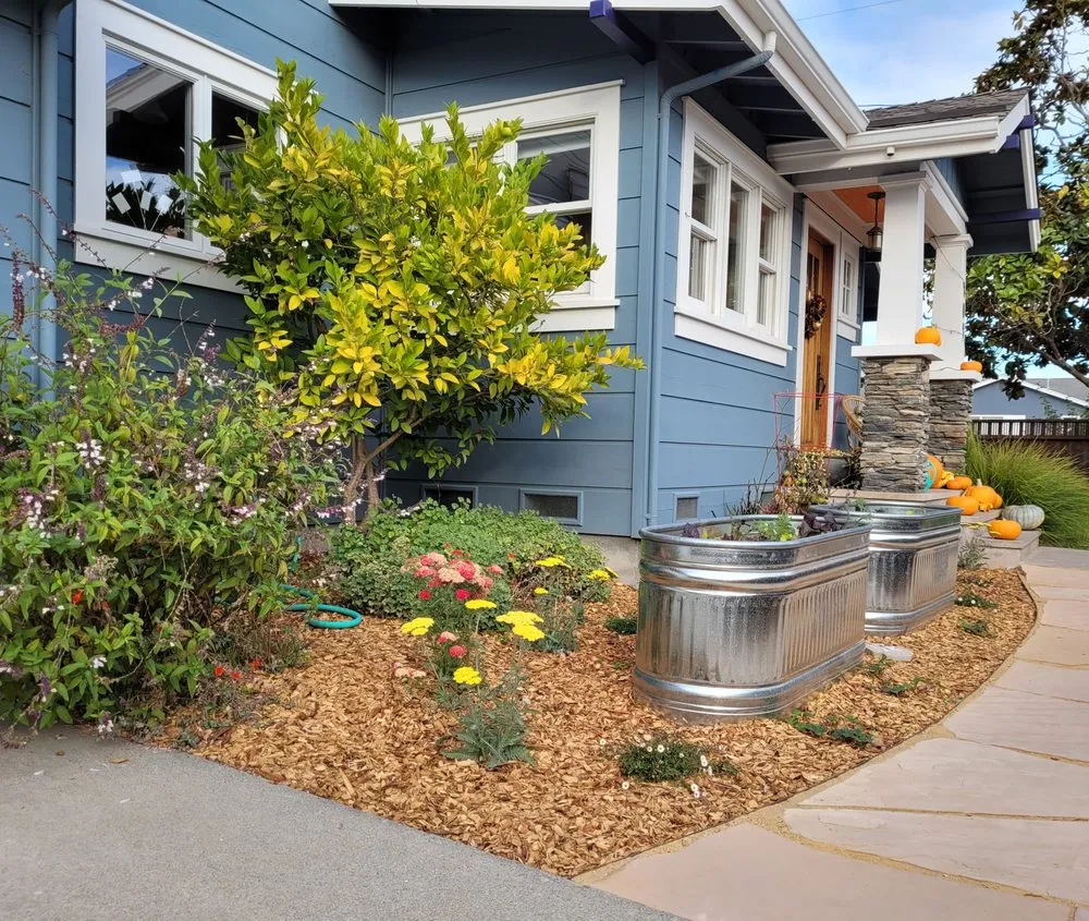 Trusted outdoor landscaping experts serving Santa Cruz, CA - Earth Design Gardens