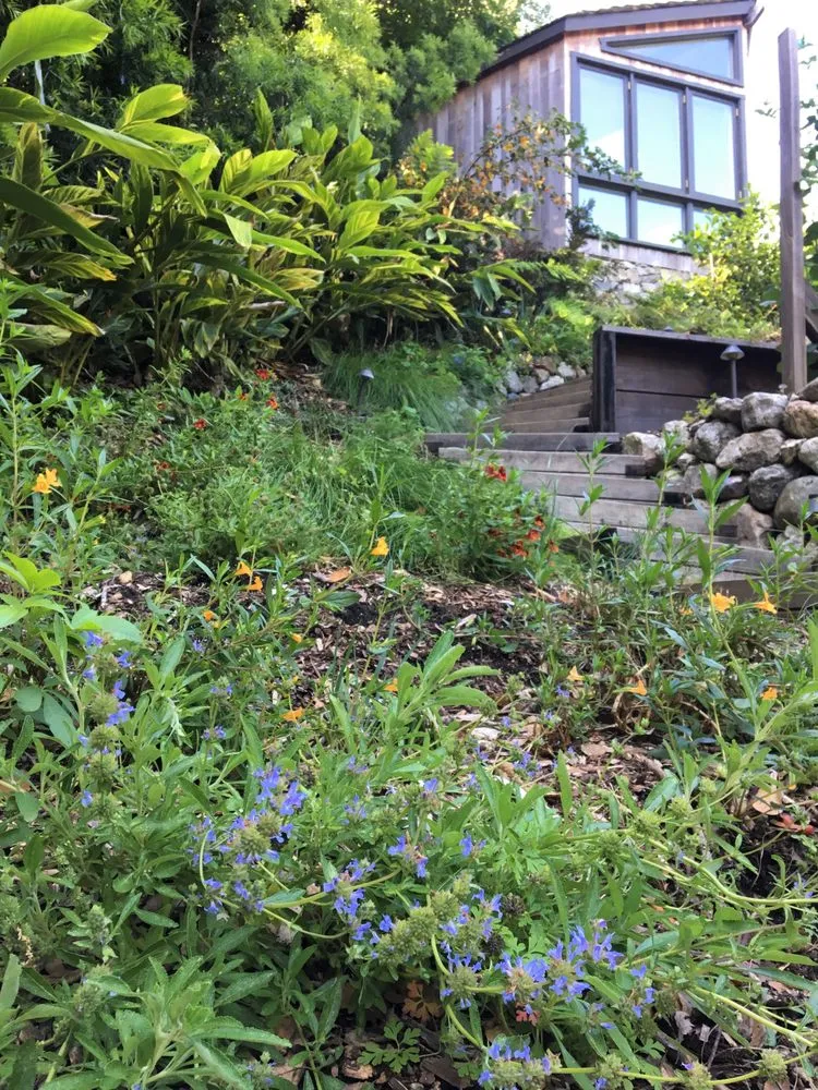 Professional lawn mowing service for outdoor upgrades across Santa Cruz, CA - Earth Design Gardens