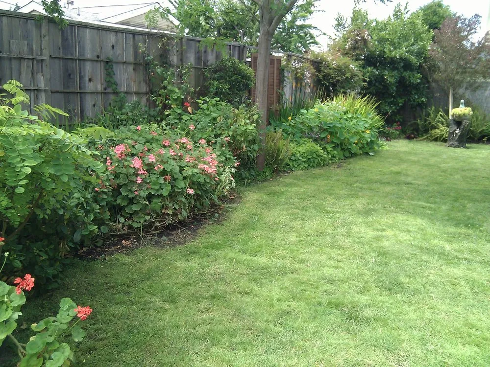 Professional lawn care service experts serving Santa Cruz, CA - Earth Design Gardens