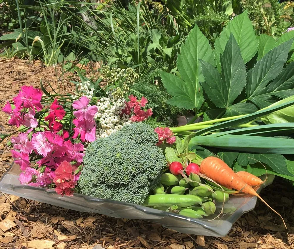 Professional lawn mowing service experts serving Santa Cruz, CA - Earth Design Gardens