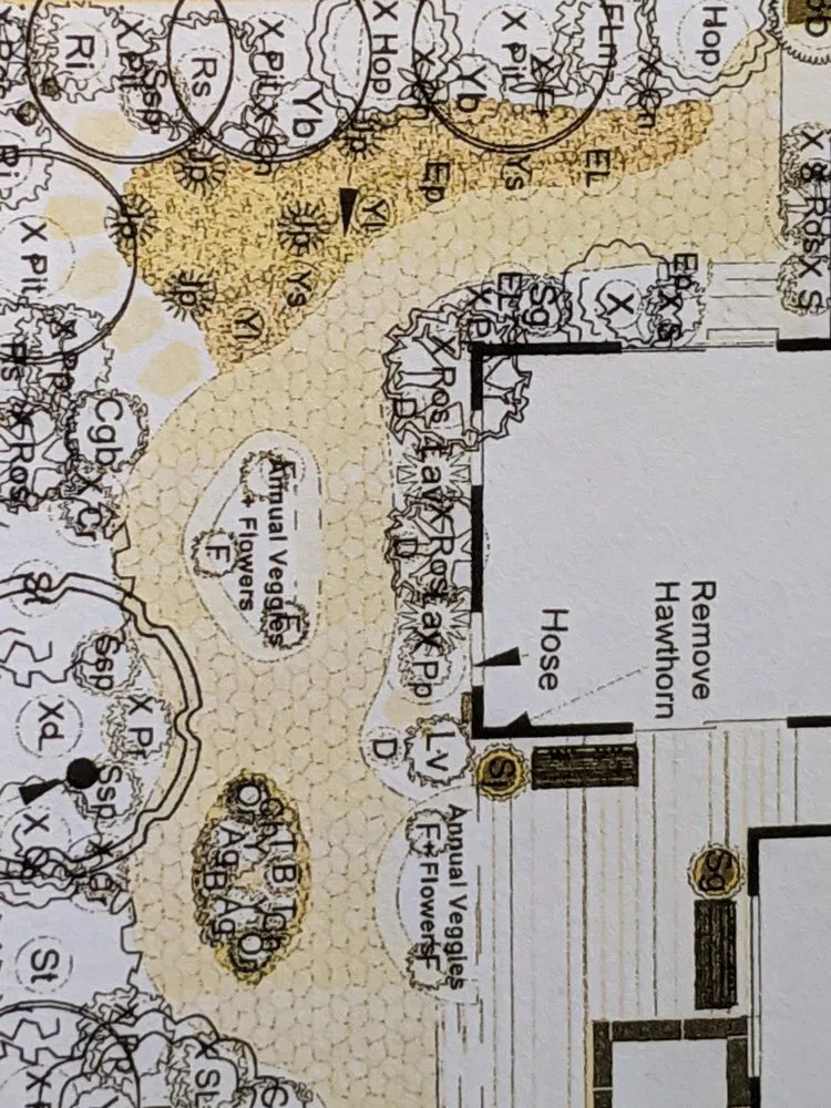 Local lawn mowing service near you in Santa Cruz, CA by Earth Design Gardens