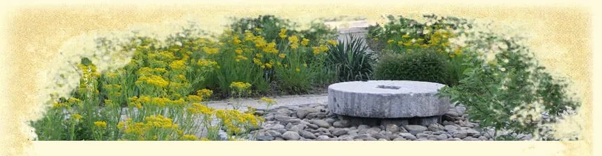 Reliable yard cleanup service experts serving Greenville, SC - Earth Design