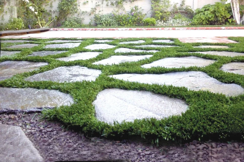 Affordable lawn mowing service for residential properties across Los Angeles, CA - Earth Design