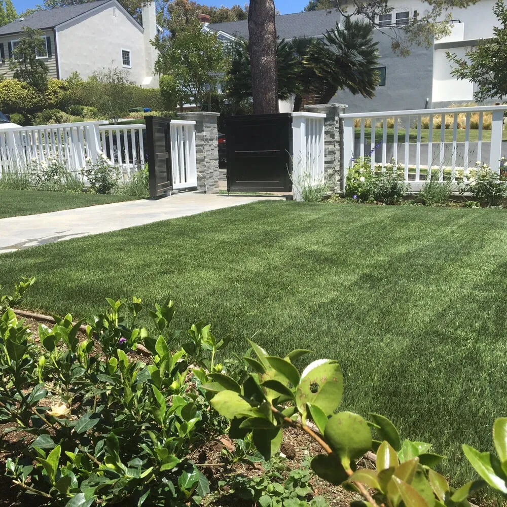 Local landscape design experts serving Los Angeles, CA - Earth Design