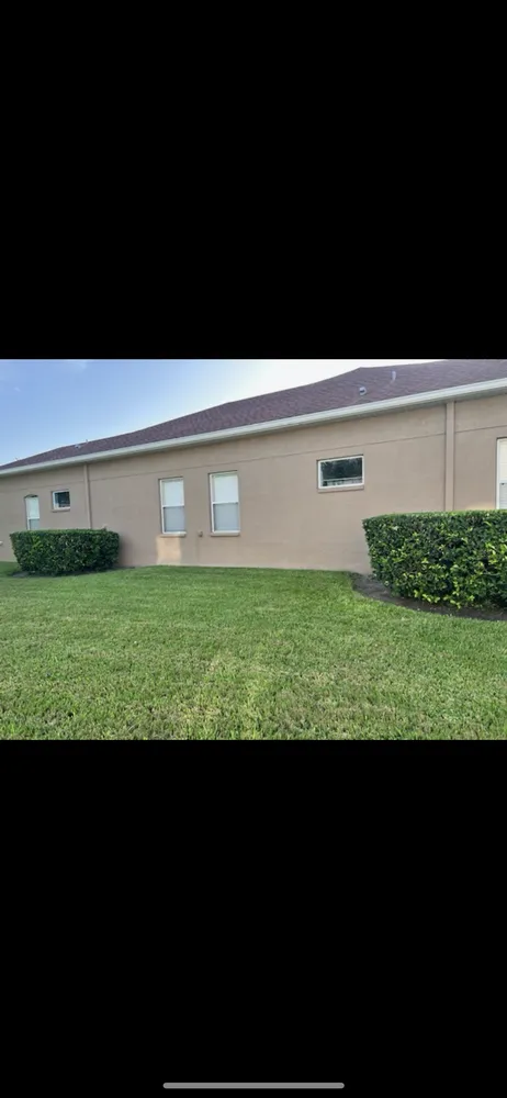 Trusted garden landscaping in Greater Northdale, FL by Earth Designs