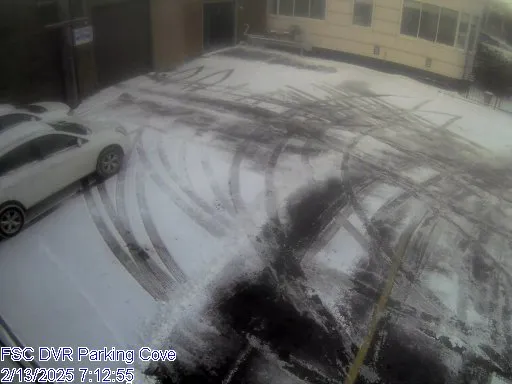 Local yard cleanup service near you across De Pere, WI - Earth Development