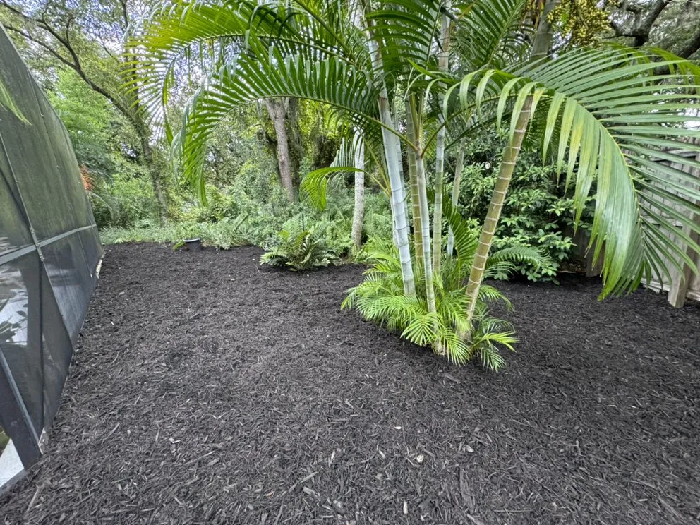 Affordable lawn mowing service in Palm Bay, FL by Earth Doctor Landscaping & Lawn Care