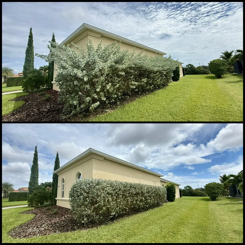 Trusted lawn mowing service near you in Palm Bay, FL by Earth Doctor Landscaping & Lawn Care