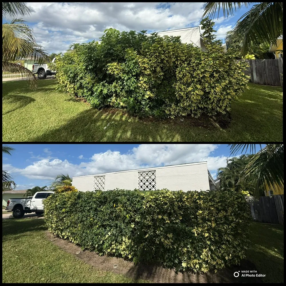 Custom yard maintenance in Palm Bay, FL by Earth Doctor Landscaping & Lawn Care