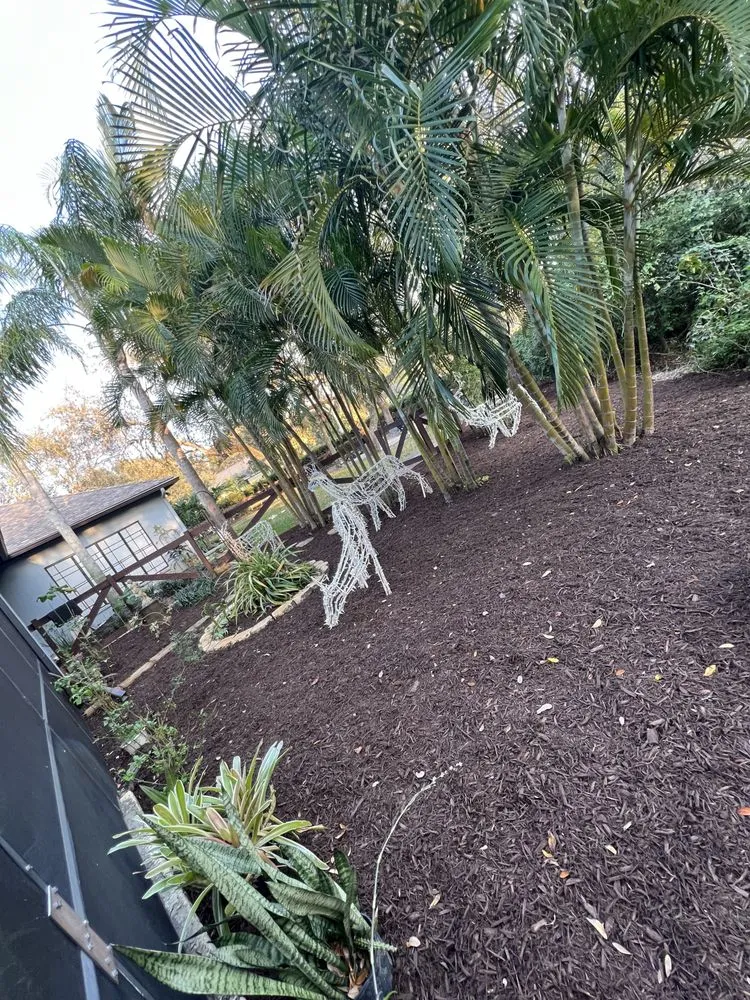 Professional lawn mowing service experts serving Palm Bay, FL - Earth Doctor Landscaping & Lawn Care