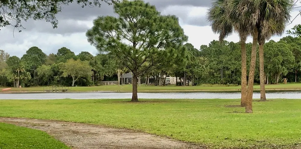 Expert yard cleanup service in Palm Bay, FL by Earth Doctor Landscaping & Lawn Care