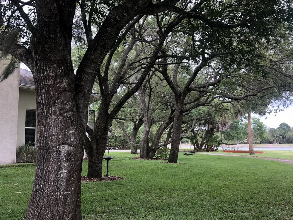 Custom landscape design near you in Palm Bay, FL by Earth Doctor Landscaping & Lawn Care