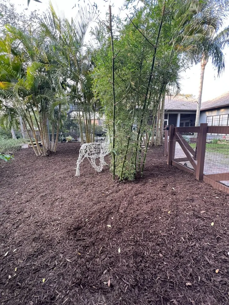 Top-rated outdoor landscaping experts serving Palm Bay, FL - Earth Doctor Landscaping & Lawn Care