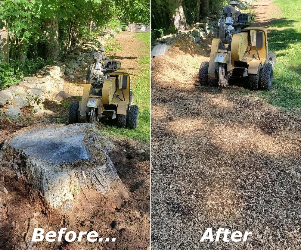 Professional landscaping services in Fremont, NH - Earth Dynamics of New England