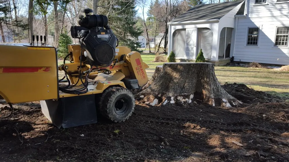 Custom lawn care service in Fremont, NH - Earth Dynamics of New England