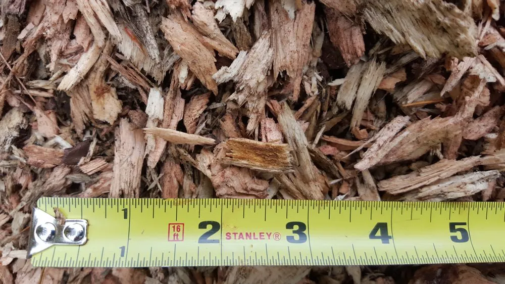 Professional landscaping services in Fremont, NH - Earth Dynamics of New England