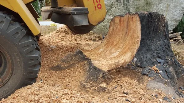 Earth Dynamics of New England