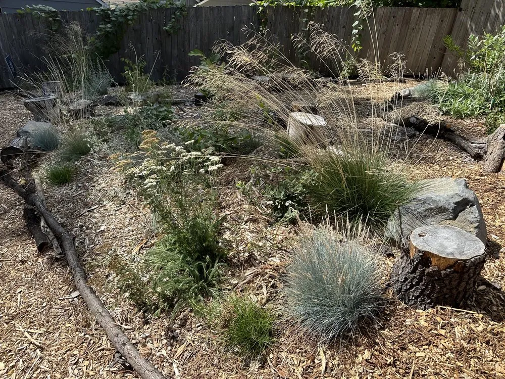 Affordable landscape installation in Portland, OR by Earth Ecology