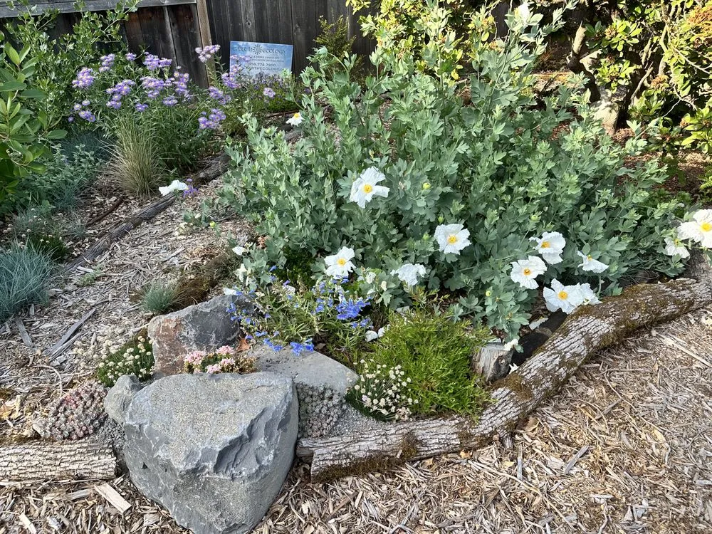 Reliable lawn care service for year-round maintenance across Portland, OR - Earth Ecology