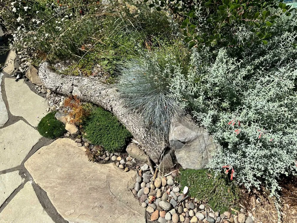 Affordable lawn care service in Portland, OR - Earth Ecology