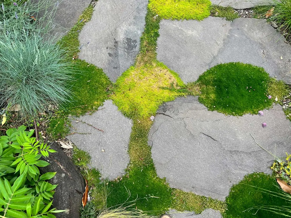 Custom residential landscaping in Portland, OR - Earth Ecology
