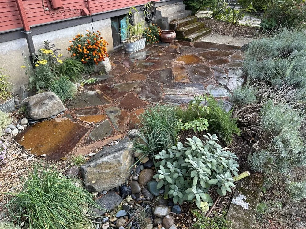 Professional landscaping services experts serving Portland, OR - Earth Ecology