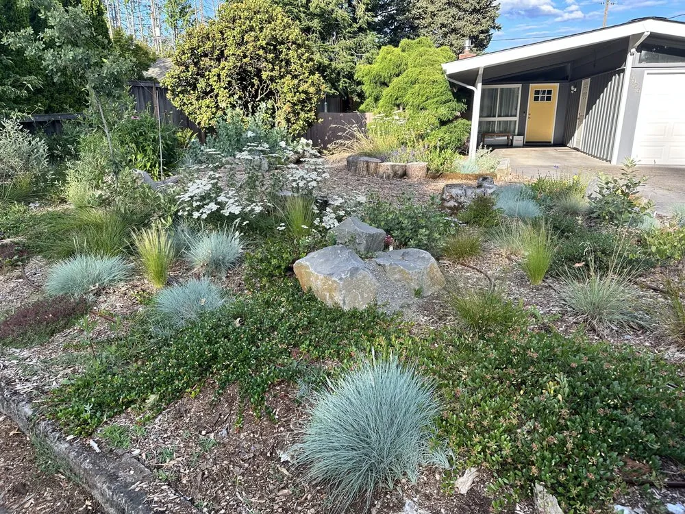 Reliable outdoor landscaping in Portland, OR - Earth Ecology