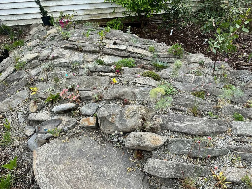 Trusted lawn mowing service for residential properties across Portland, OR - Earth Ecology