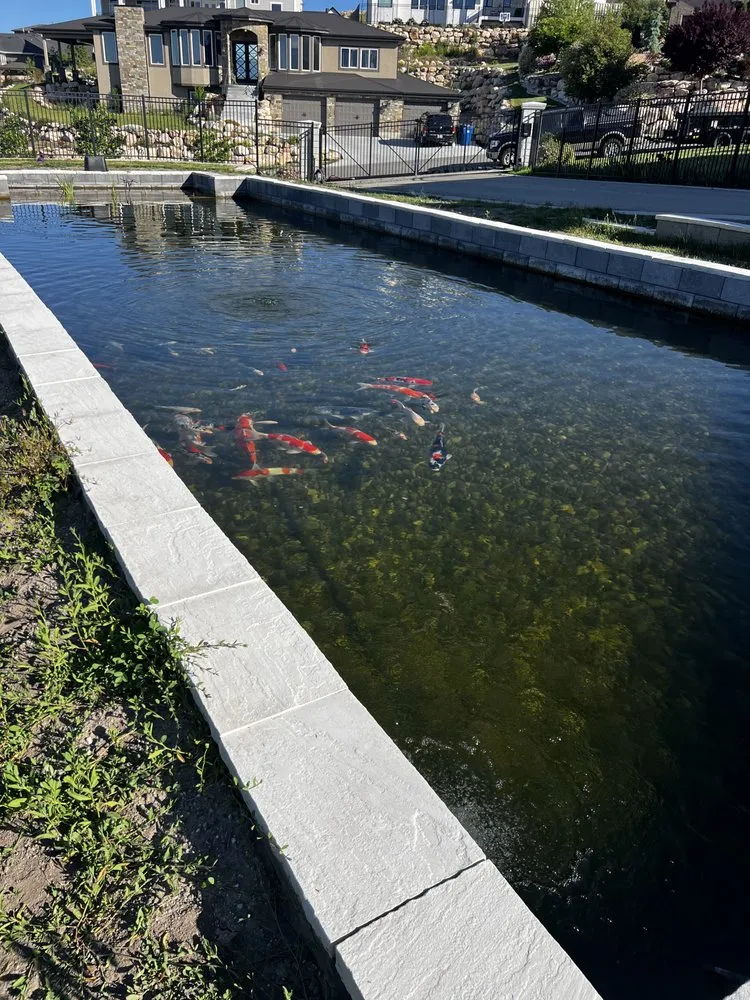 Professional landscaping services with custom design across Harrisville, UT - Earth Energy Waterscapes