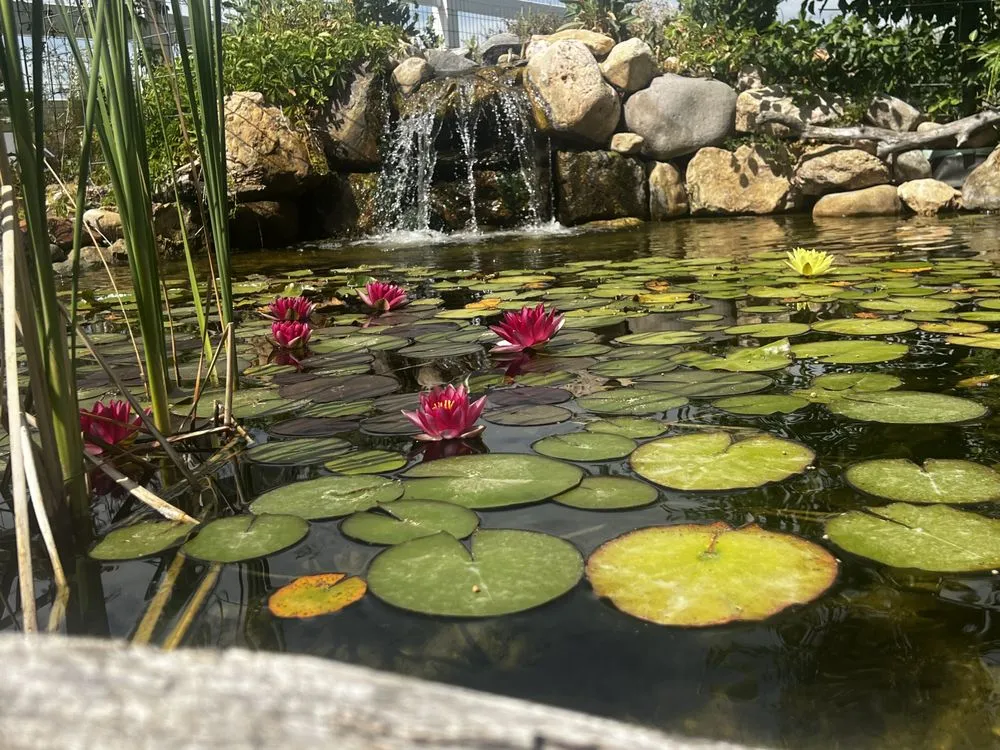 Reliable landscaping services in Harrisville, UT by Earth Energy Waterscapes