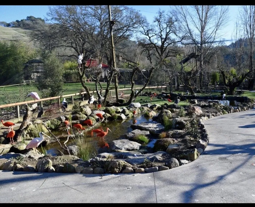 Trusted lawn care service experts serving Harrisville, UT - Earth Energy Waterscapes