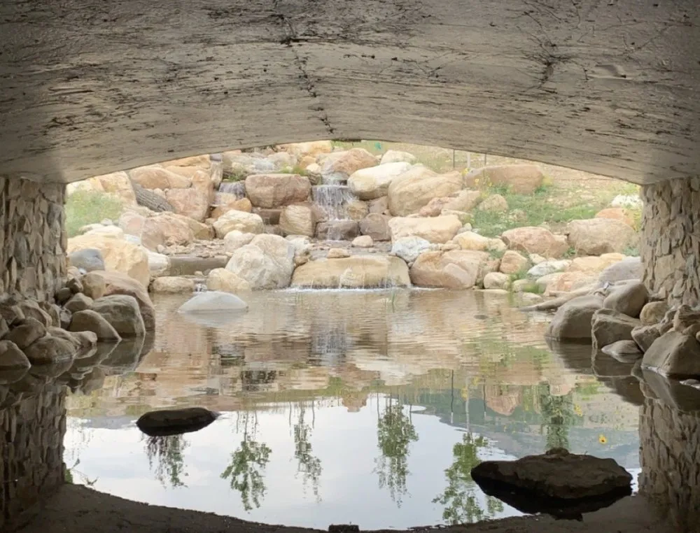 Trusted lawn care service in Harrisville, UT - Earth Energy Waterscapes