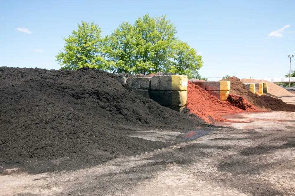 Affordable yard cleanup service in Louisville, KY by Earth First of Kentuckiana