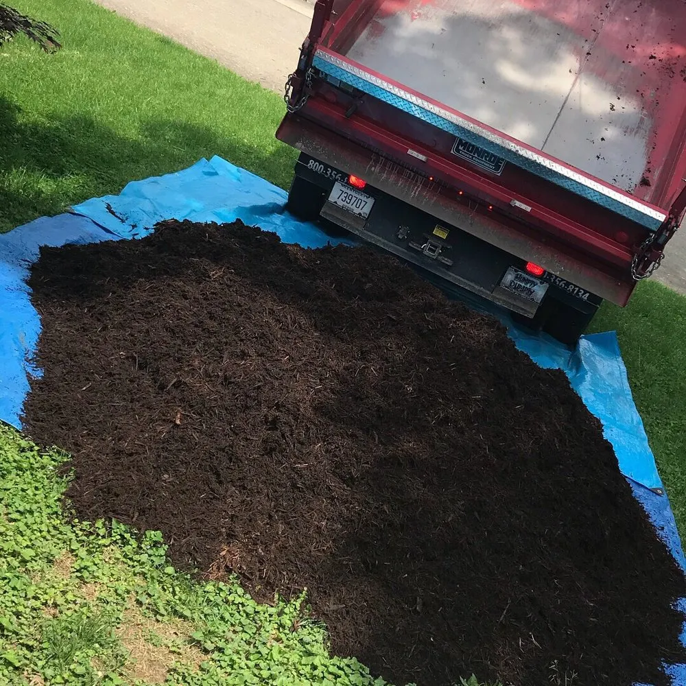 Custom yard cleanup service near you across Louisville, KY - Earth First of Kentuckiana