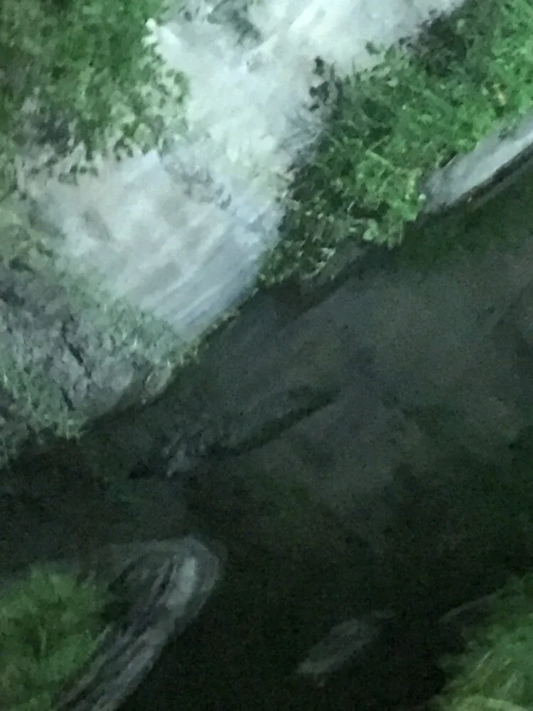 Professional outdoor landscaping with custom design across Richmond, VA - Earth Friendly Pest Control