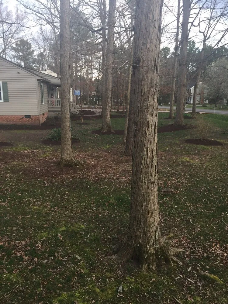 Top-rated yard cleanup service in Richmond, VA - Earth Friendly Pest Control