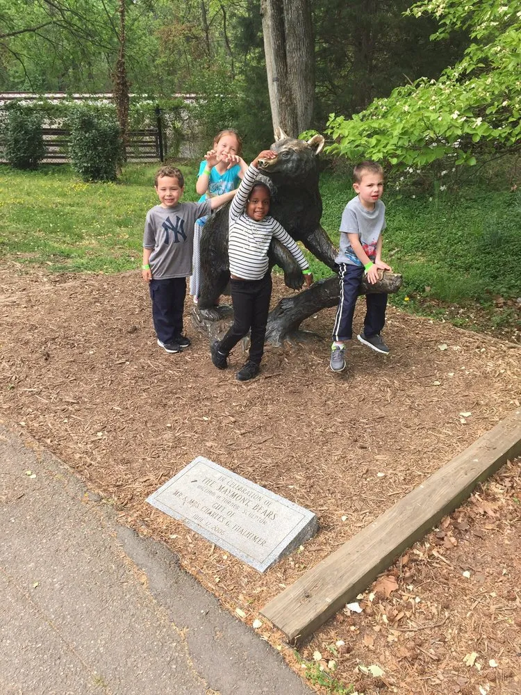 Reliable yard maintenance for year-round maintenance across Richmond, VA - Earth Friendly Pest Control