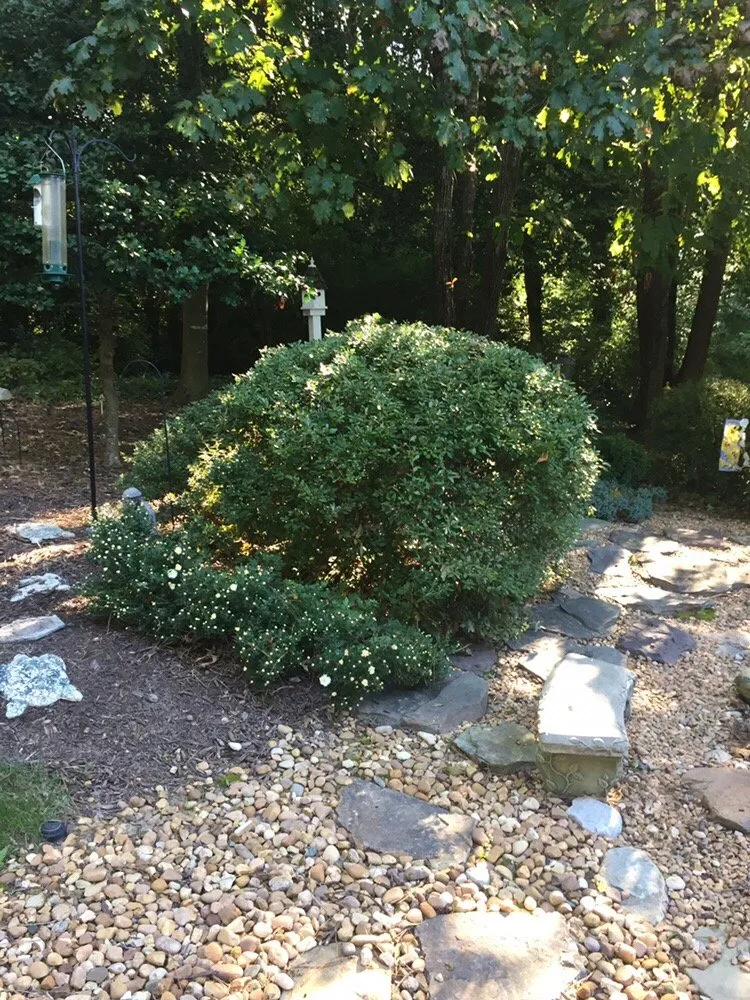 Reliable landscape design in Richmond, VA - Earth Friendly Pest Control