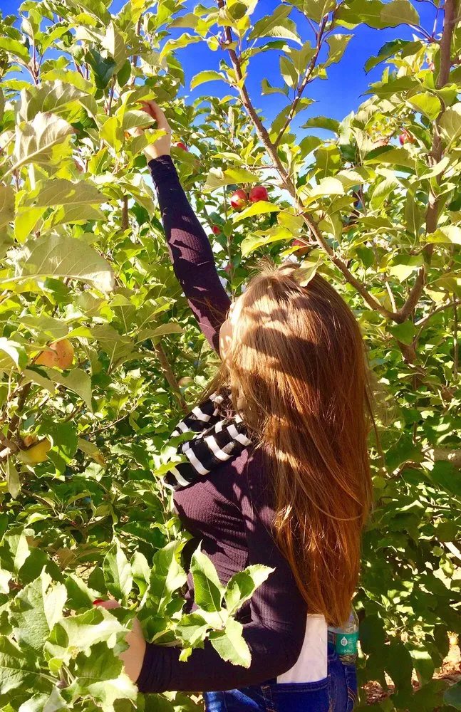 Local yard maintenance in Richmond, VA by Earth Friendly Pest Control