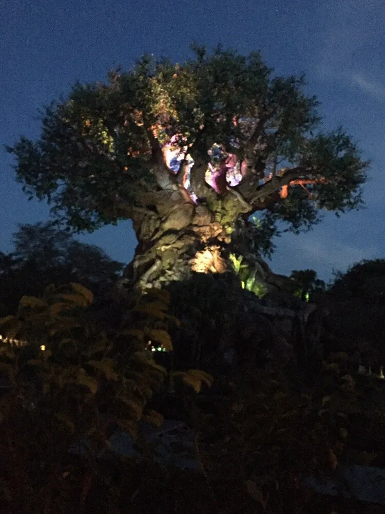 Reliable landscape design in Richmond, VA - Earth Friendly Pest Control