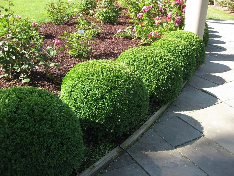 Affordable lawn mowing service experts serving Florence, KY - Earth FX Landscaping
