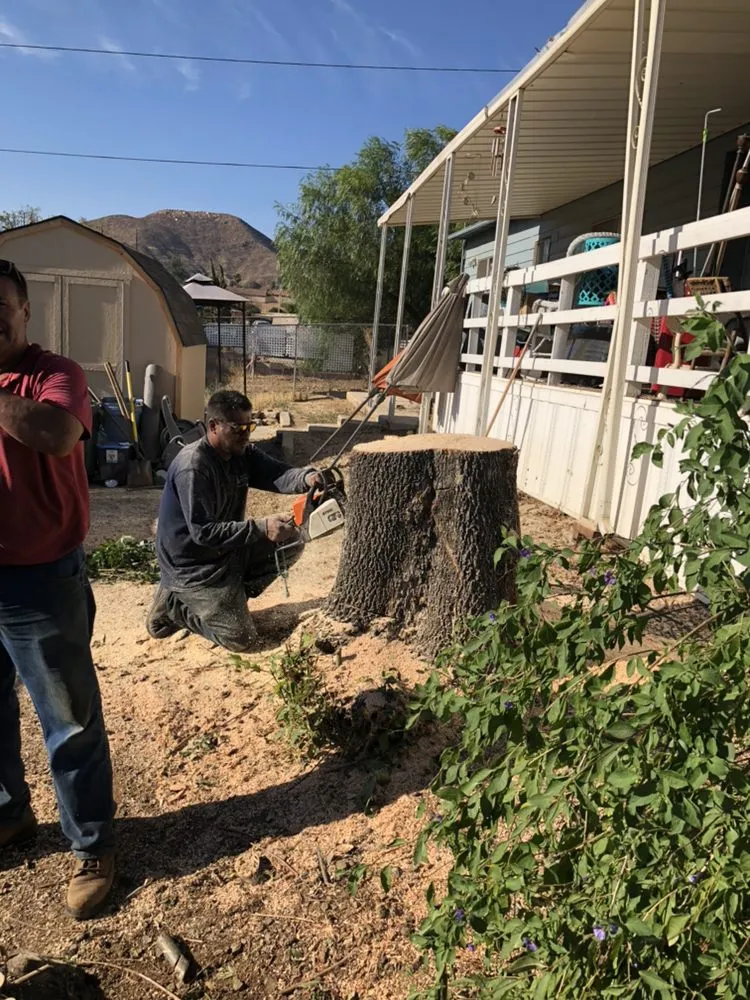 Reliable yard maintenance in Menifee, CA by Earth Green Landscape