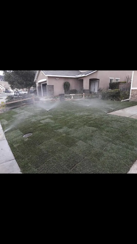 Custom landscaping services near you in Menifee, CA by Earth Green Landscape