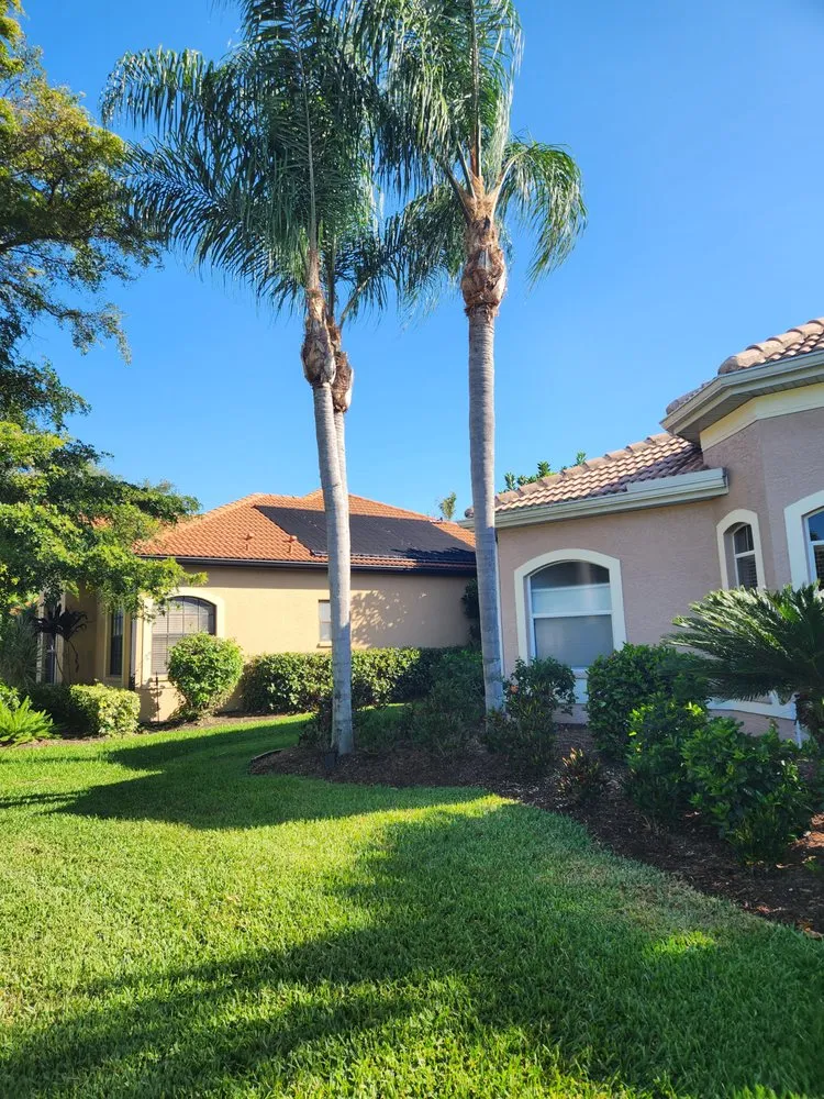 Professional residential landscaping in Sarasota, FL by Earth Growth Green