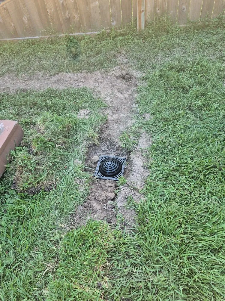 Local landscape installation for year-round maintenance in Houston, TX by Earth Ideas Outdoors