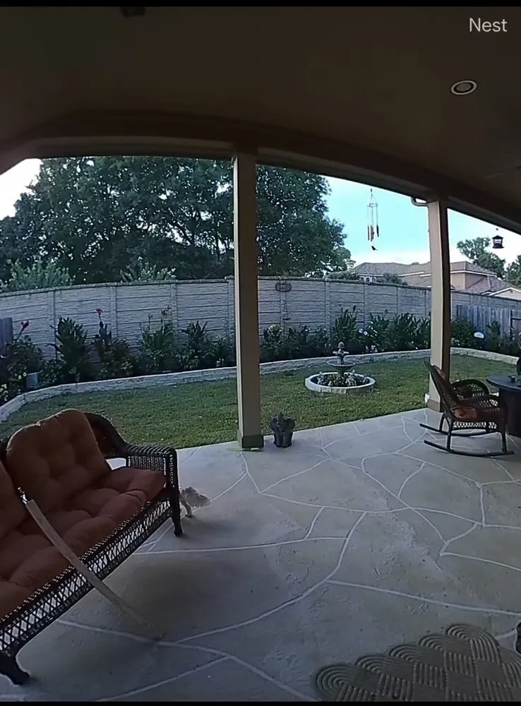 Top-rated landscape design experts serving Houston, TX - Earth Ideas Outdoors